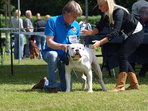 Zomershow 15 juni 2013 